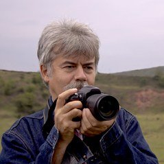 Dan Gavrilă